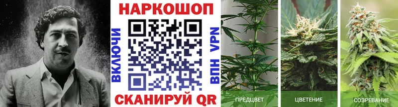 Наркота Ковдор КОКАИН  Марихуана  A PVP  ГАШ  Мефедрон 