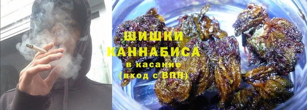 гидра Нязепетровск