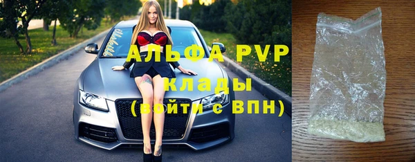 спиды Тавда